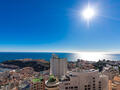 STUNNING 5 ROOMS - Properties for sale in Monaco