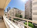 BEAUTIFUL 2 BEDROOMS APARTMENT - GOOD INVESTMENT - Properties for sale in Monaco