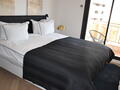 Renovated 2 Bedroom Apartment - Properties for sale in Monaco